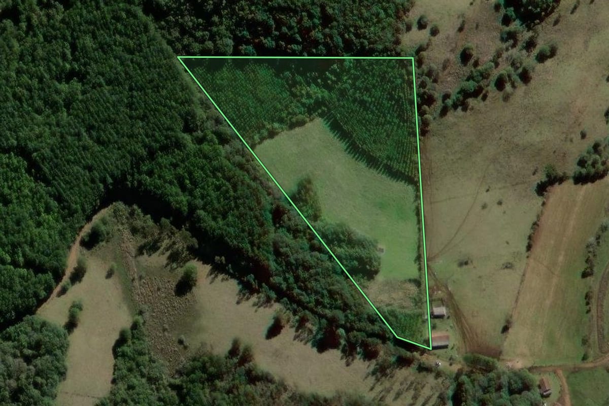 Imagem de satélite do imóvel rural em São José do Cerrito (SC), com o contorno declarado no CAR desenhado por cima.