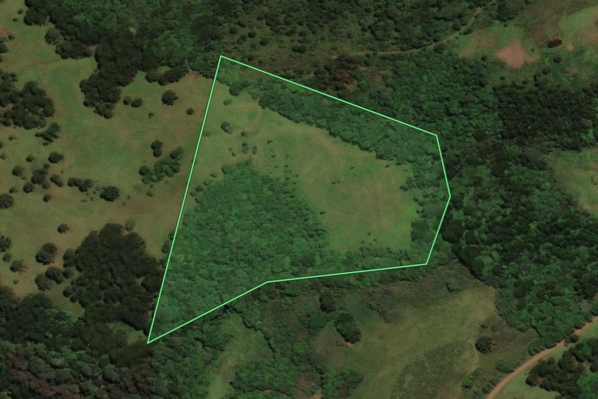 Imagem de satélite do imóvel rural em São José do Cerrito (SC), com o contorno declarado no CAR desenhado por cima.