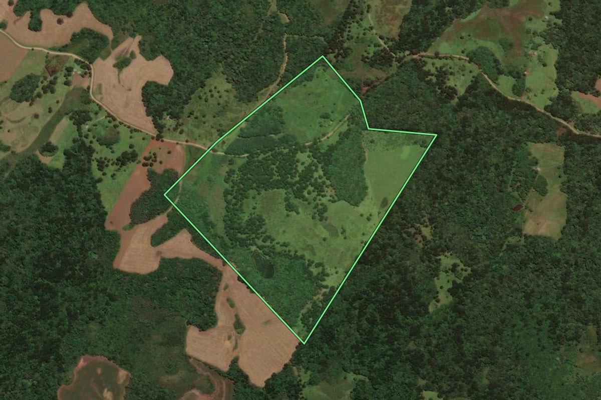 Imagem de satélite do imóvel rural em São José do Cerrito (SC), com o contorno declarado no CAR desenhado por cima.