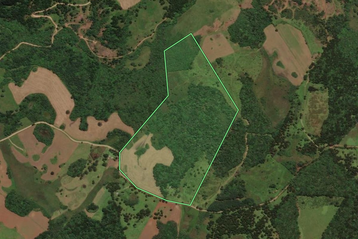 Imagem de satélite do imóvel rural em São José do Cerrito (SC), com o contorno declarado no CAR desenhado por cima.