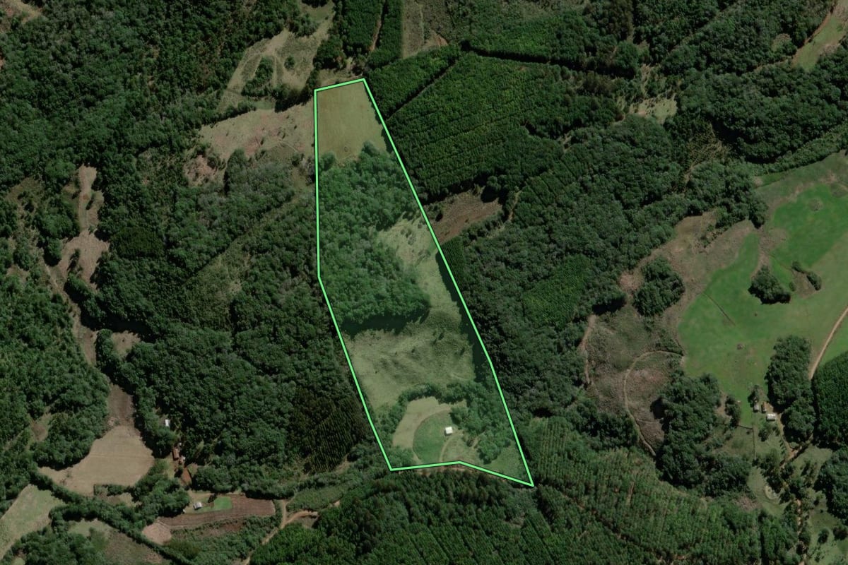 Imagem de satélite do imóvel rural em São José do Cerrito (SC), com o contorno declarado no CAR desenhado por cima.