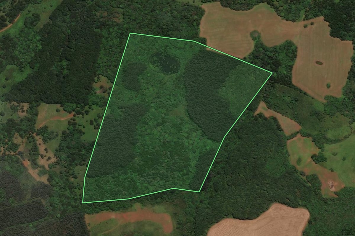Imagem de satélite do imóvel rural em São José do Cerrito (SC), com o contorno declarado no CAR desenhado por cima.