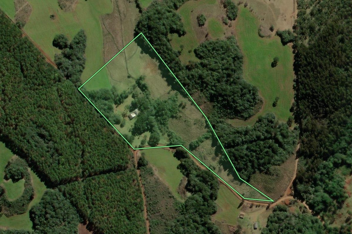 Imagem de satélite do imóvel rural em São José do Cerrito (SC), com o contorno declarado no CAR desenhado por cima.