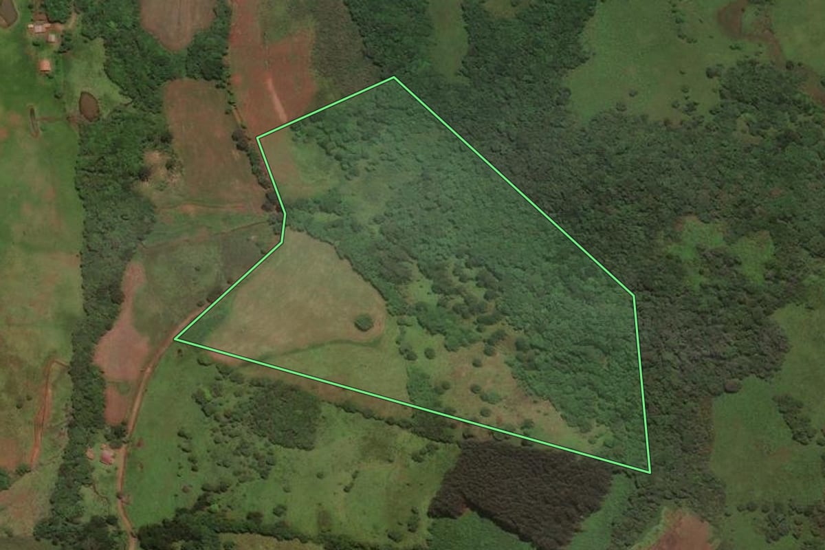 Imagem de satélite do imóvel rural em São José do Cerrito (SC), com o contorno declarado no CAR desenhado por cima.