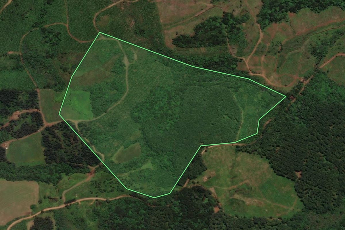 Imagem de satélite do imóvel rural em São José do Cerrito (SC), com o contorno declarado no CAR desenhado por cima.