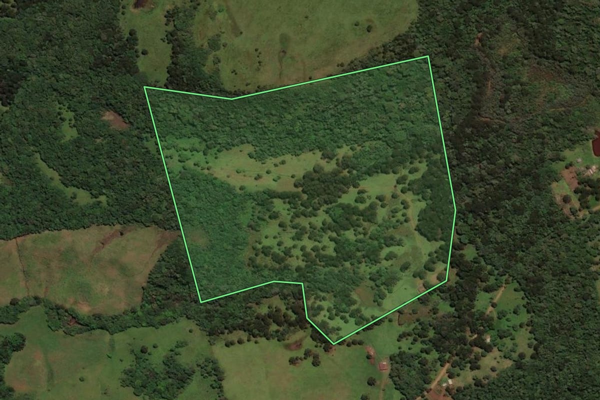 Imagem de satélite do imóvel rural em São José do Cerrito (SC), com o contorno declarado no CAR desenhado por cima.