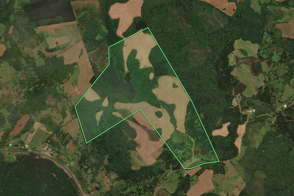 Imagem de satélite do imóvel rural em São José do Cerrito (SC), com o contorno declarado no CAR desenhado por cima.