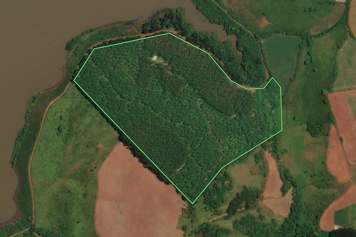 Imagem de satélite do imóvel rural em São José do Cerrito (SC), com o contorno declarado no CAR desenhado por cima.