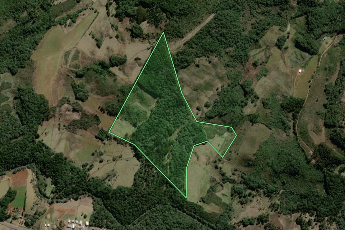 Imagem de satélite do imóvel rural em São José do Cerrito (SC), com o contorno declarado no CAR desenhado por cima.