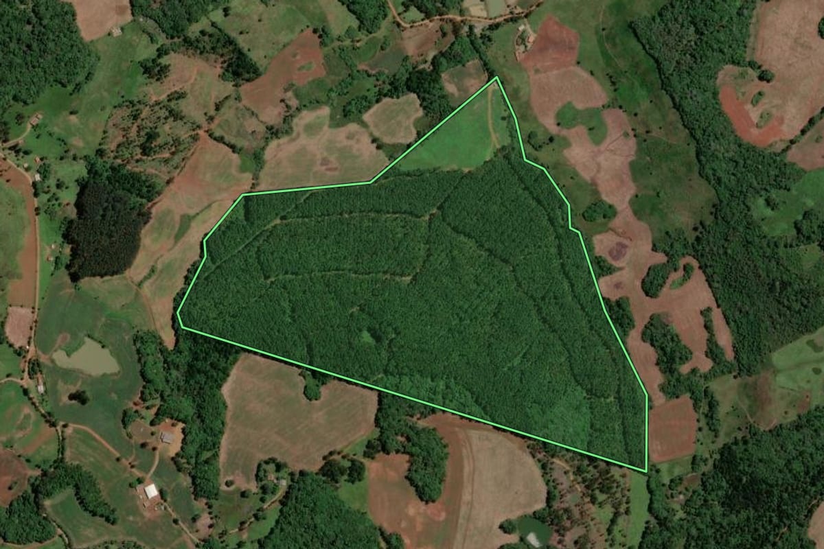 Imagem de satélite do imóvel rural em São José do Cerrito (SC), com o contorno declarado no CAR desenhado por cima.