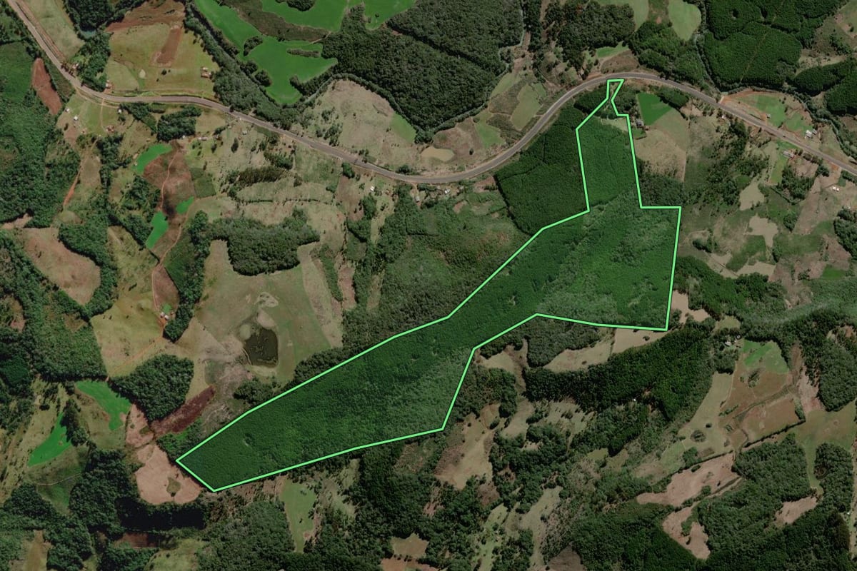 Imagem de satélite do imóvel rural em São José do Cerrito (SC), com o contorno declarado no CAR desenhado por cima.