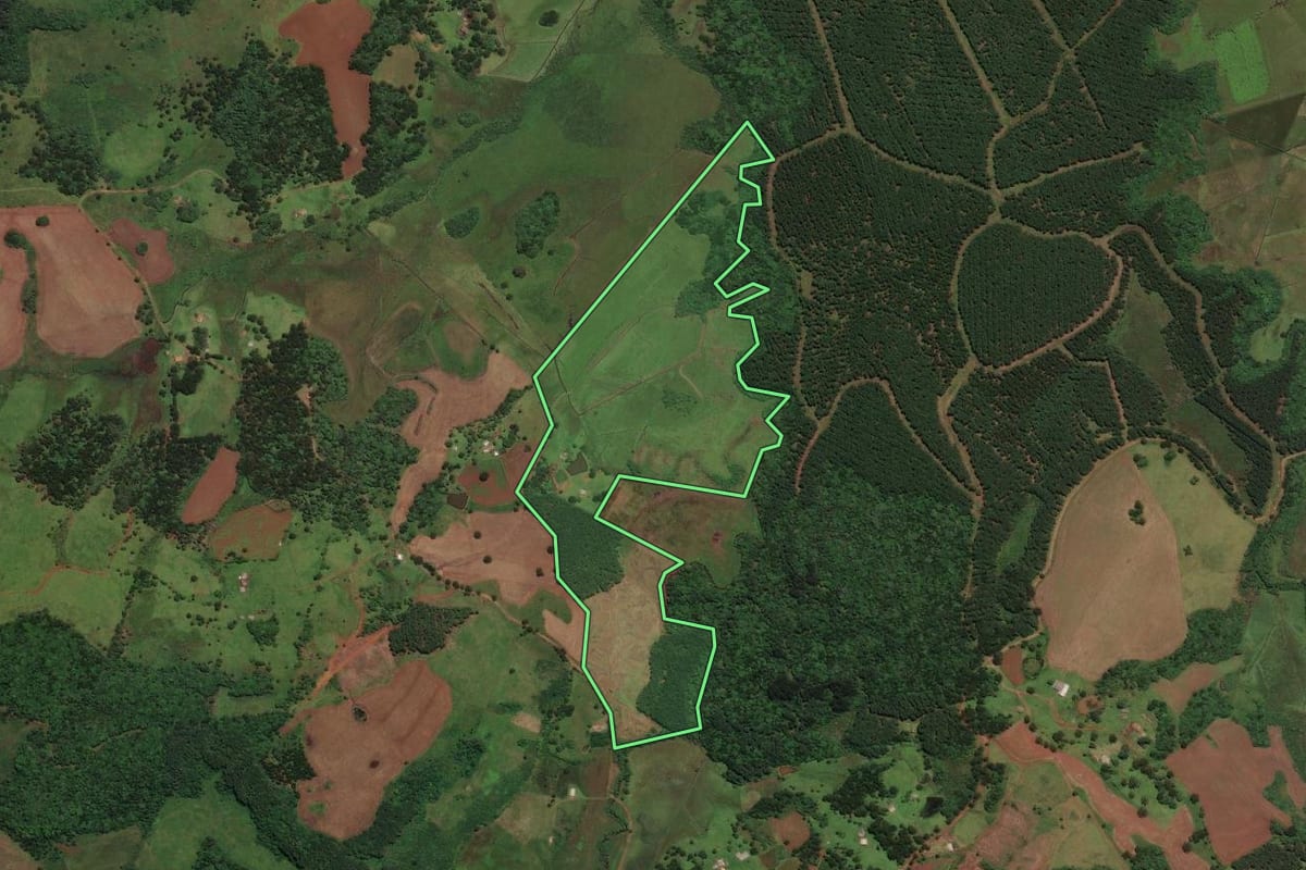 Imagem de satélite do imóvel rural em São José do Cerrito (SC), com o contorno declarado no CAR desenhado por cima.