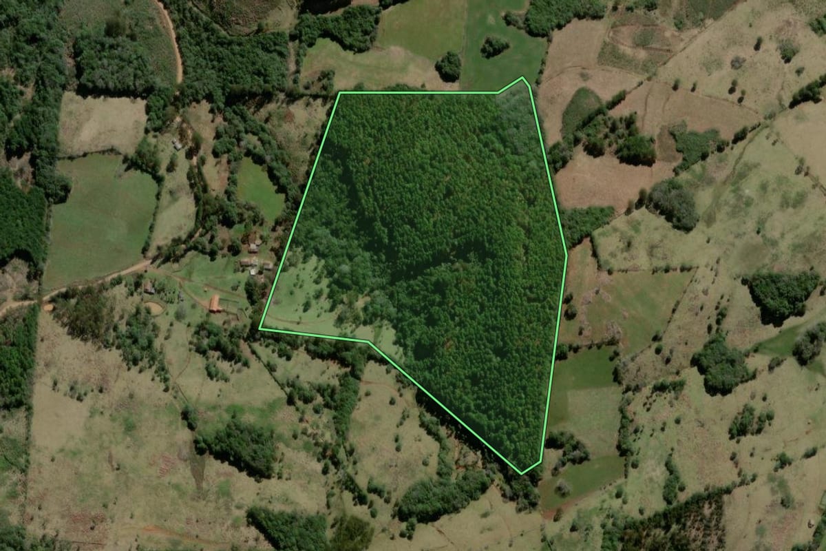 Imagem de satélite do imóvel rural em São José do Cerrito (SC), com o contorno declarado no CAR desenhado por cima.