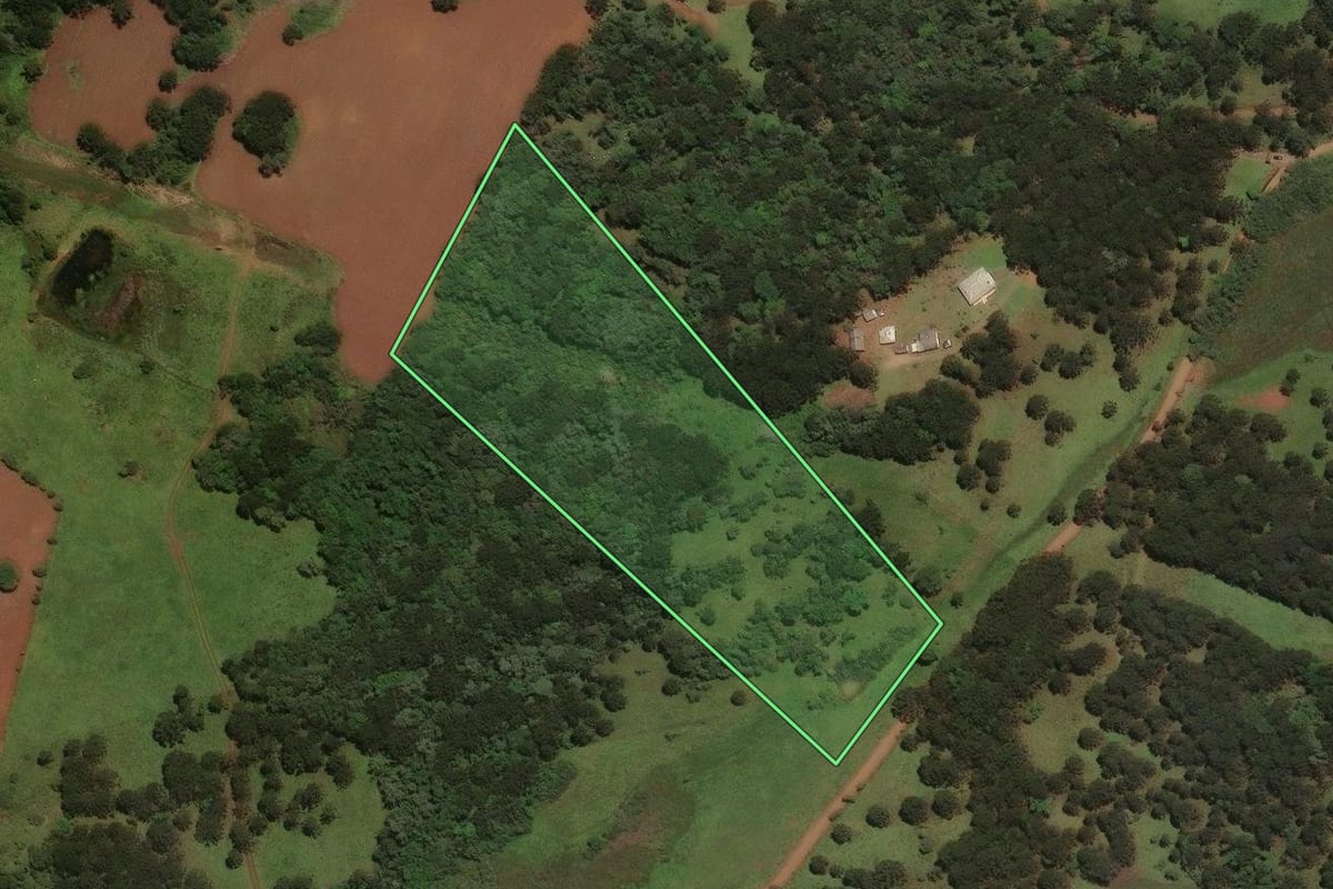 Imagem de satélite do imóvel rural em São José do Cerrito (SC), com o contorno declarado no CAR desenhado por cima.