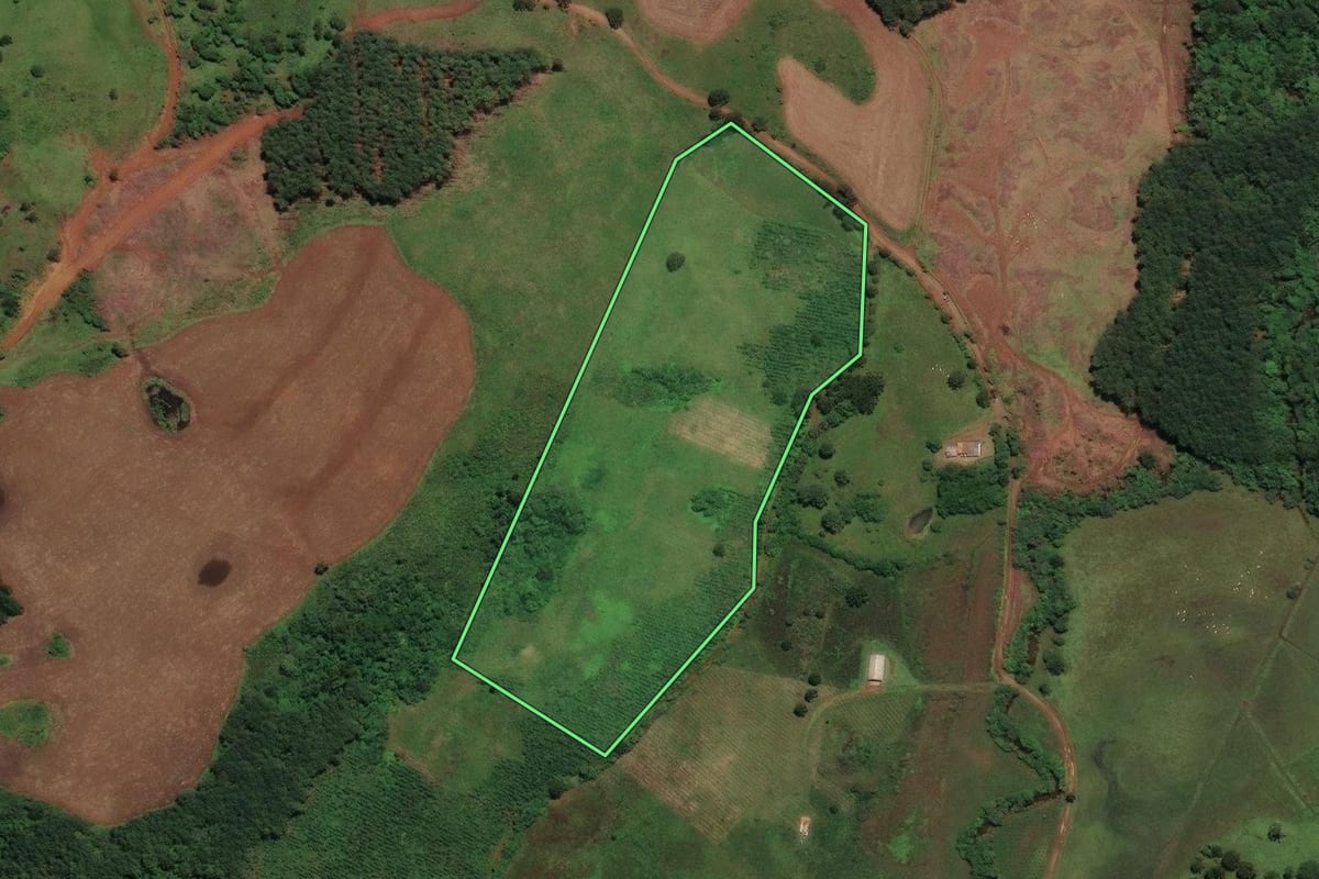 Imagem de satélite do imóvel rural em São José do Cerrito (SC), com o contorno declarado no CAR desenhado por cima.