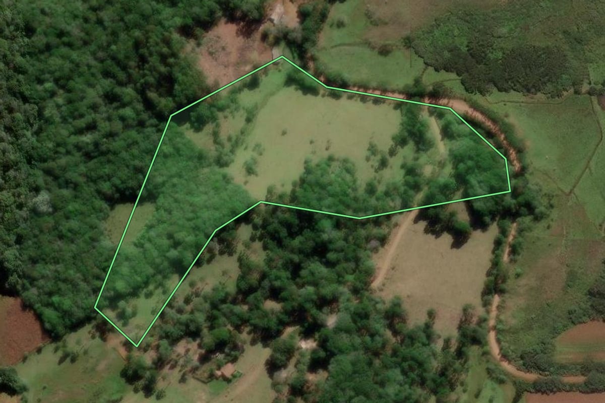 Imagem de satélite do imóvel rural em São José do Cerrito (SC), com o contorno declarado no CAR desenhado por cima.