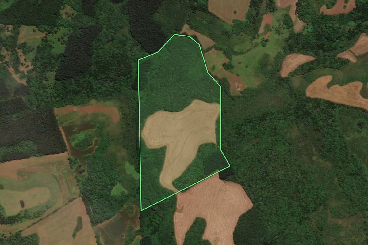 Imagem de satélite do imóvel rural em São José do Cerrito (SC), com o contorno declarado no CAR desenhado por cima.