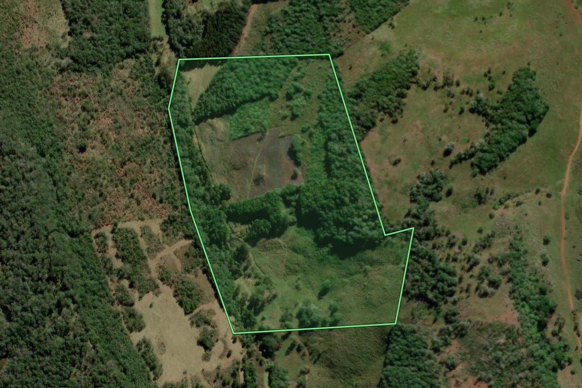 Imagem de satélite do imóvel rural em São José do Cerrito (SC), com o contorno declarado no CAR desenhado por cima.