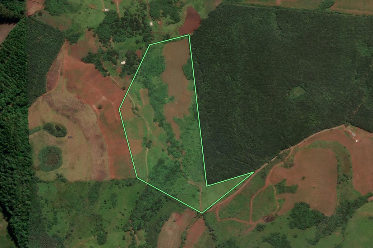 Imagem de satélite do imóvel rural em São José do Cerrito (SC), com o contorno declarado no CAR desenhado por cima.