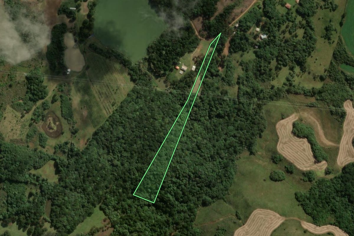 Imagem de satélite do imóvel rural em São José do Cerrito (SC), com o contorno declarado no CAR desenhado por cima.