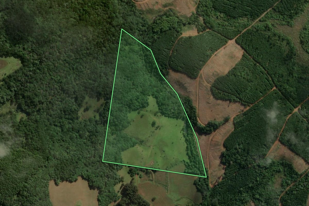 Imagem de satélite do imóvel rural em São José do Cerrito (SC), com o contorno declarado no CAR desenhado por cima.