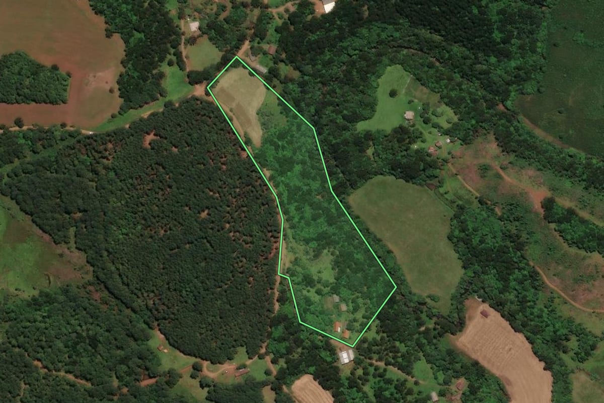 Imagem de satélite do imóvel rural em São José do Cerrito (SC), com o contorno declarado no CAR desenhado por cima.