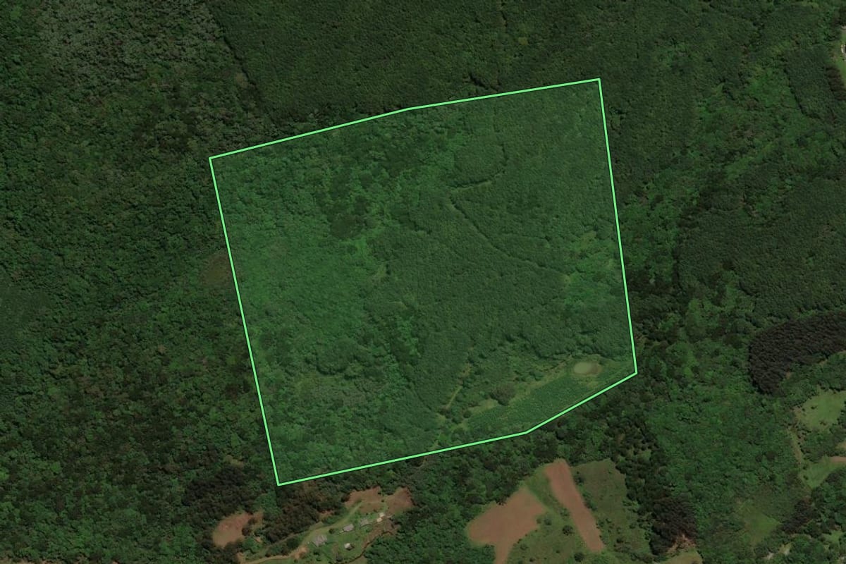 Imagem de satélite do imóvel rural em São José do Cerrito (SC), com o contorno declarado no CAR desenhado por cima.