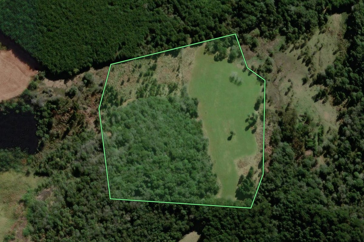 Imagem de satélite do imóvel rural em São José do Cerrito (SC), com o contorno declarado no CAR desenhado por cima.