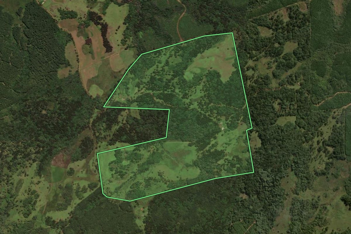 Imagem de satélite do imóvel rural em São José do Cerrito (SC), com o contorno declarado no CAR desenhado por cima.