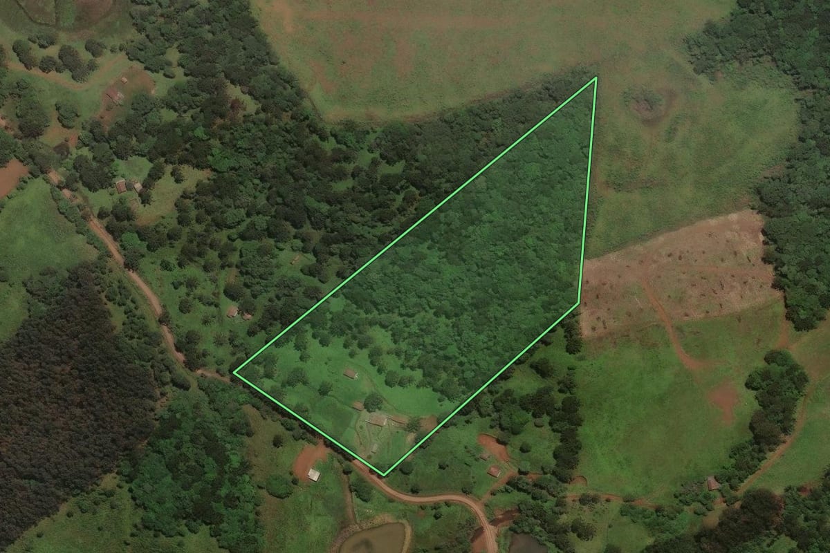 Imagem de satélite do imóvel rural em São José do Cerrito (SC), com o contorno declarado no CAR desenhado por cima.