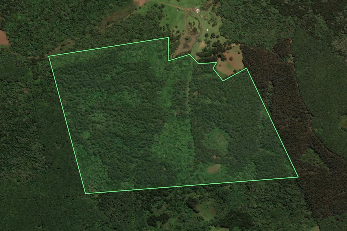 Imagem de satélite do imóvel rural em São José do Cerrito (SC), com o contorno declarado no CAR desenhado por cima.
