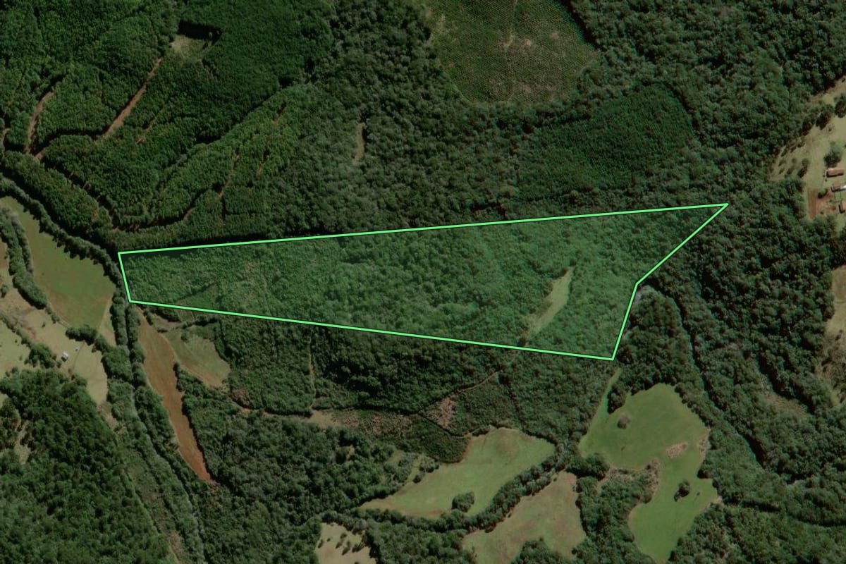 Imagem de satélite do imóvel rural em São José do Cerrito (SC), com o contorno declarado no CAR desenhado por cima.