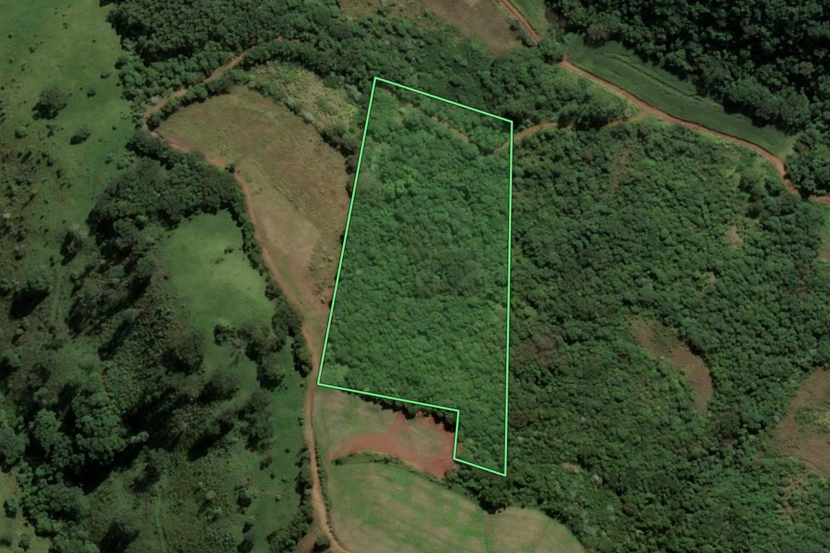 Imagem de satélite do imóvel rural em São Lourenço do Oeste (SC), com o contorno declarado no CAR desenhado por cima.