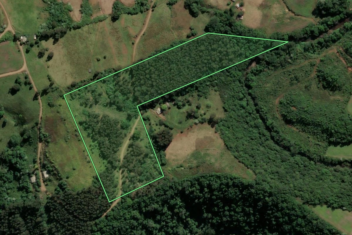 Imagem de satélite do imóvel rural em São Lourenço do Oeste (SC), com o contorno declarado no CAR desenhado por cima.