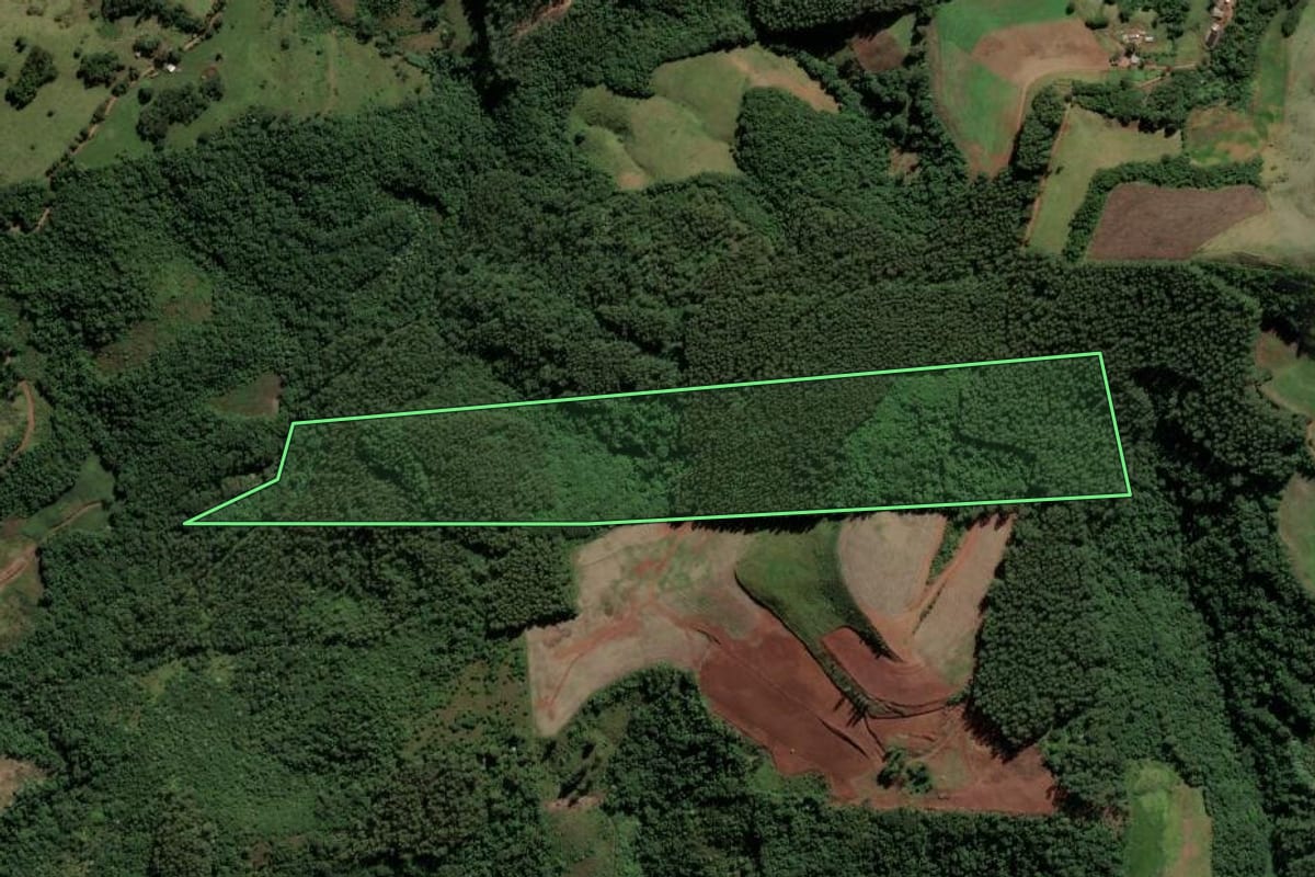 Imagem de satélite do imóvel rural em São Lourenço do Oeste (SC), com o contorno declarado no CAR desenhado por cima.