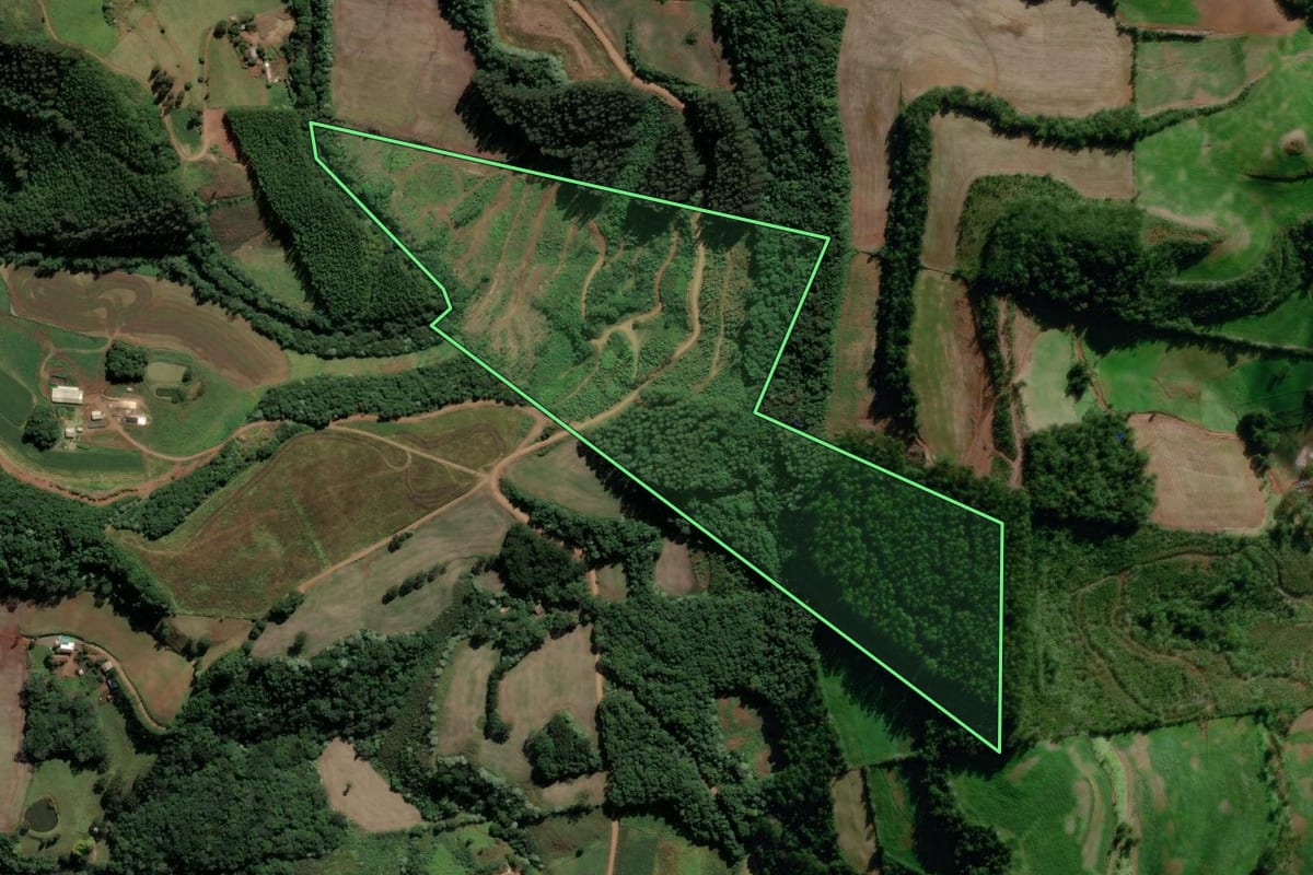 Imagem de satélite do imóvel rural em São Lourenço do Oeste (SC), com o contorno declarado no CAR desenhado por cima.