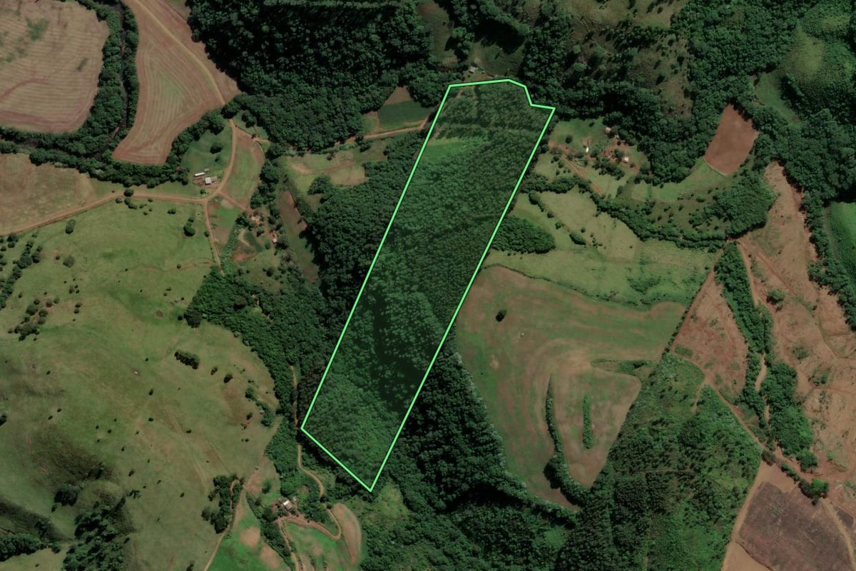Imagem de satélite do imóvel rural em São Lourenço do Oeste (SC), com o contorno declarado no CAR desenhado por cima.