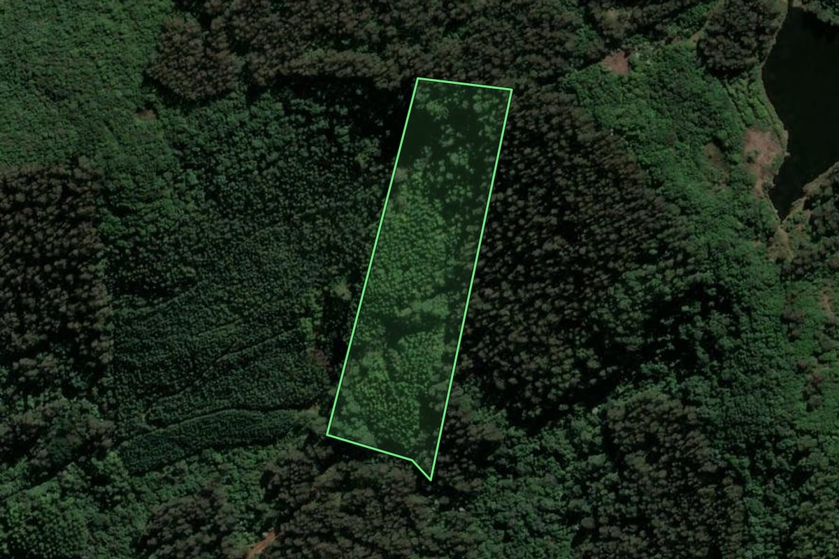 Imagem de satélite do imóvel rural em São Lourenço do Oeste (SC), com o contorno declarado no CAR desenhado por cima.