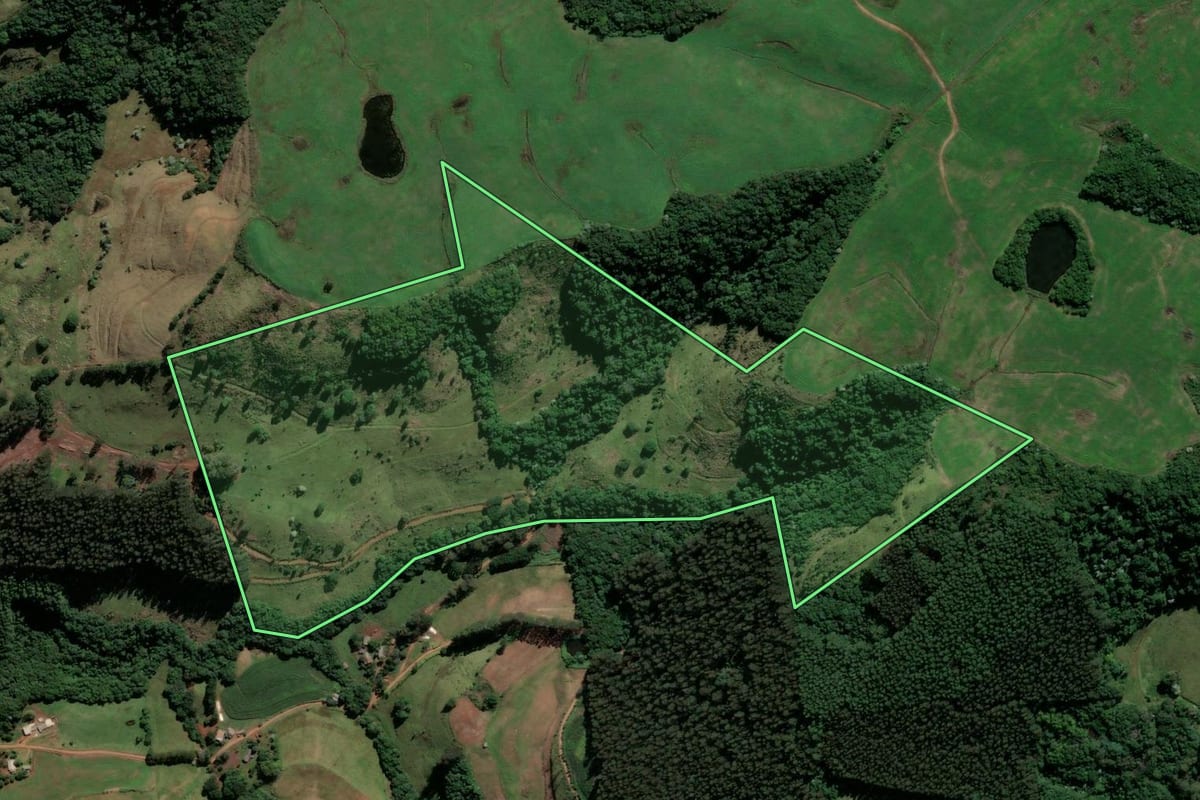 Imagem de satélite do imóvel rural em São Lourenço do Oeste (SC), com o contorno declarado no CAR desenhado por cima.