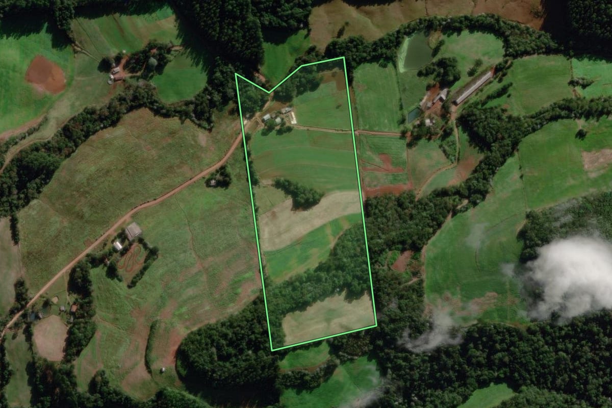 Imagem de satélite do imóvel rural em São Lourenço do Oeste (SC), com o contorno declarado no CAR desenhado por cima.