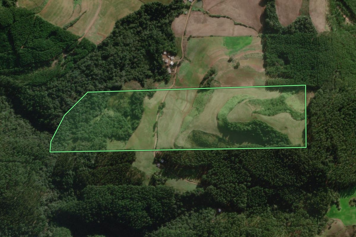 Imagem de satélite do imóvel rural em São Lourenço do Oeste (SC), com o contorno declarado no CAR desenhado por cima.