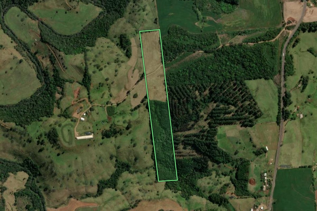 Imagem de satélite do imóvel rural em São Lourenço do Oeste (SC), com o contorno declarado no CAR desenhado por cima.