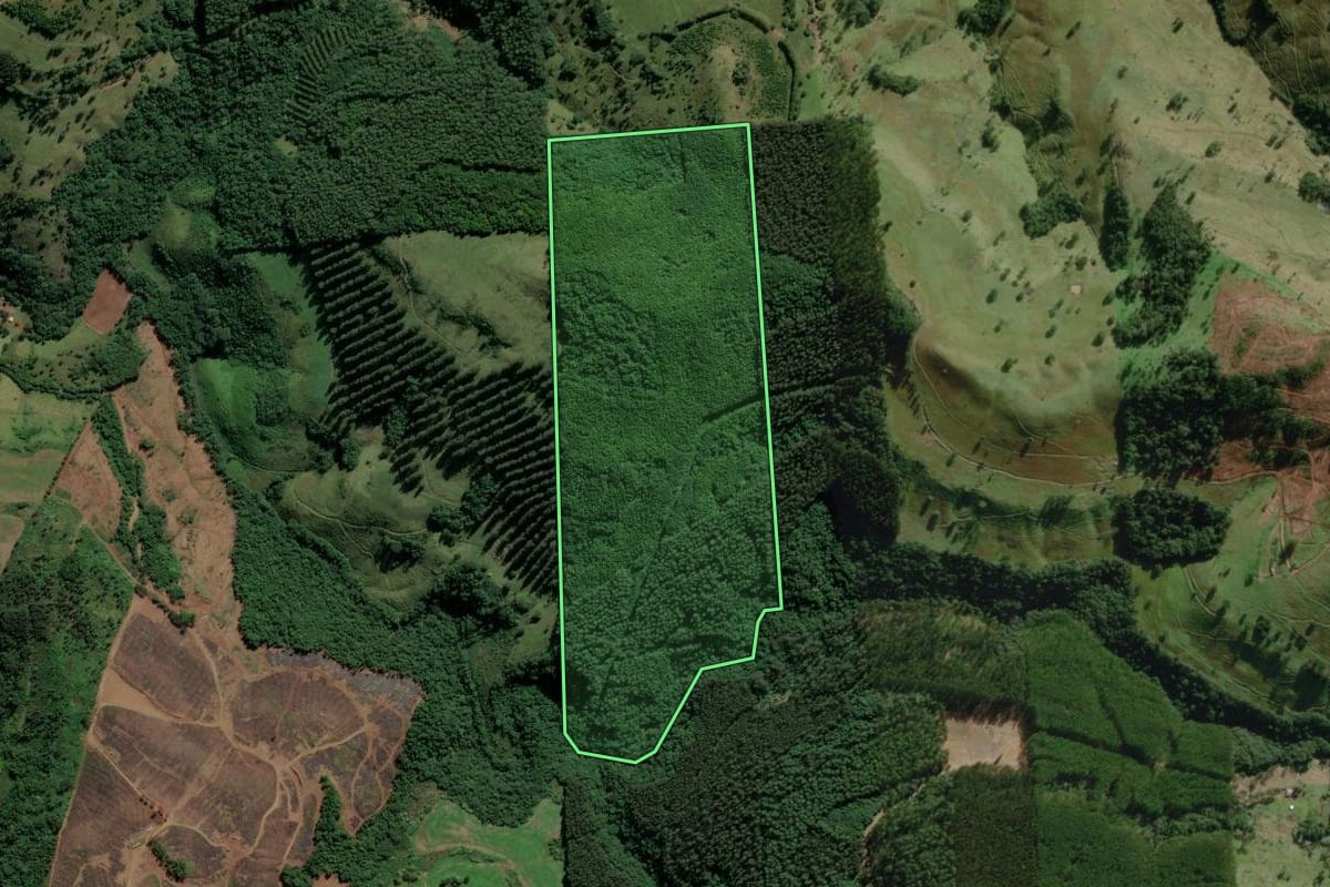 Imagem de satélite do imóvel rural em São Lourenço do Oeste (SC), com o contorno declarado no CAR desenhado por cima.
