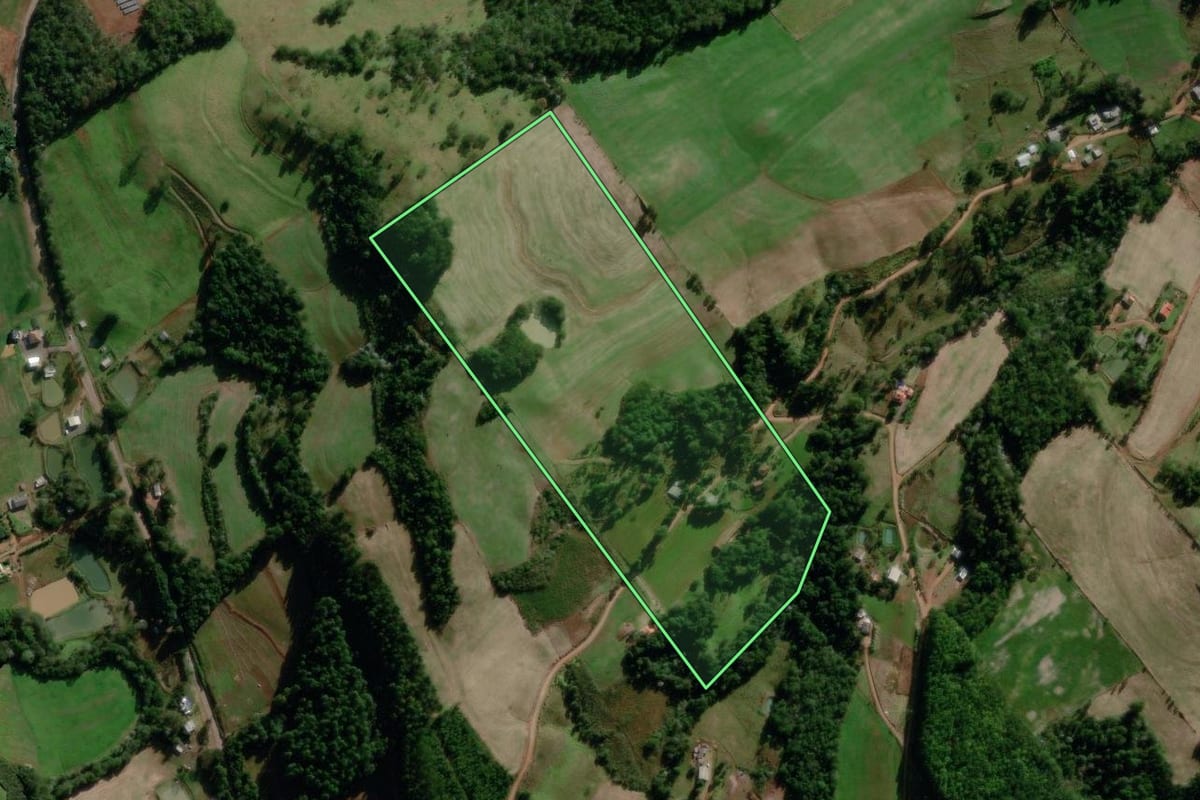 Imagem de satélite do imóvel rural em São Lourenço do Oeste (SC), com o contorno declarado no CAR desenhado por cima.