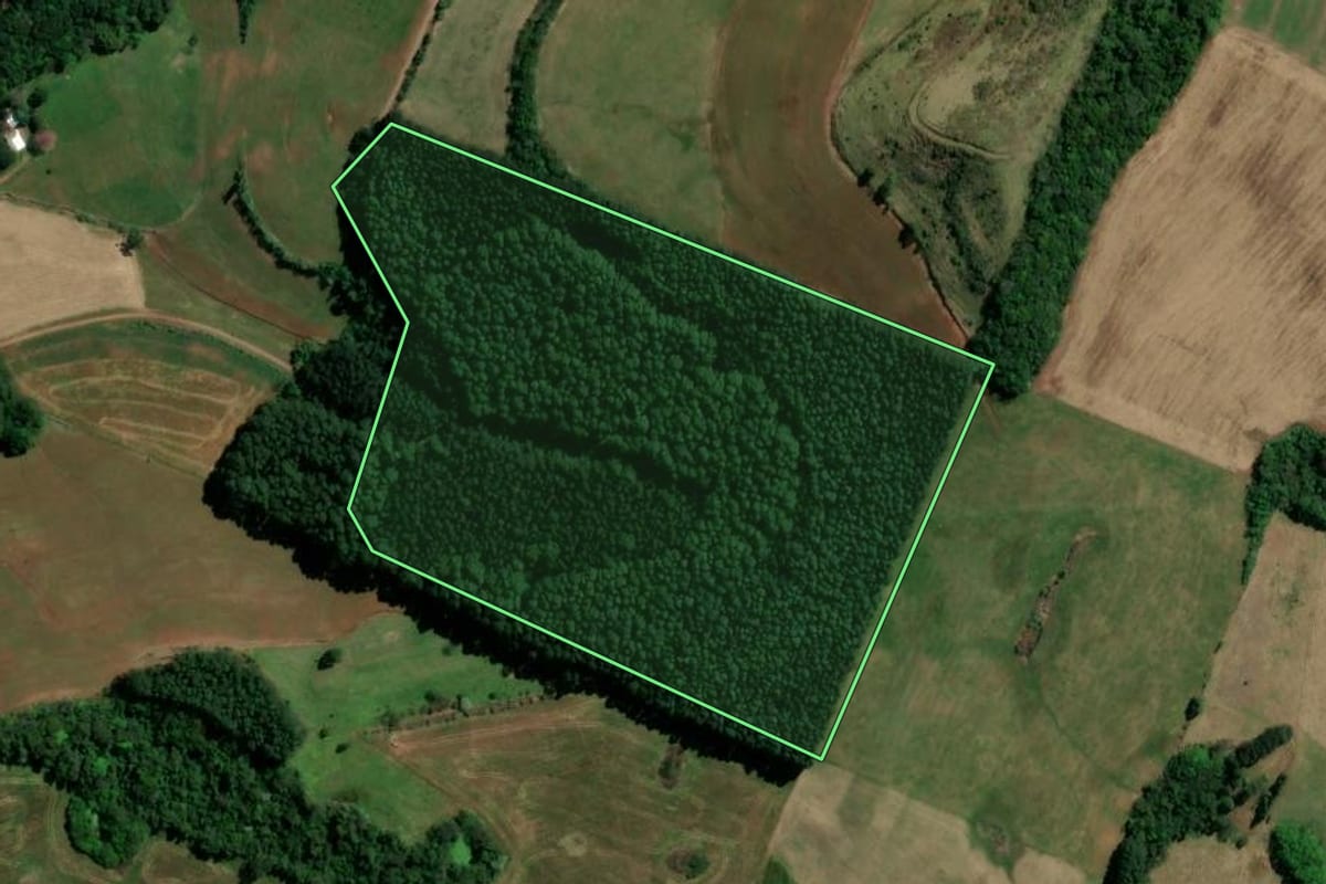 Imagem de satélite do imóvel rural em São Lourenço do Oeste (SC), com o contorno declarado no CAR desenhado por cima.