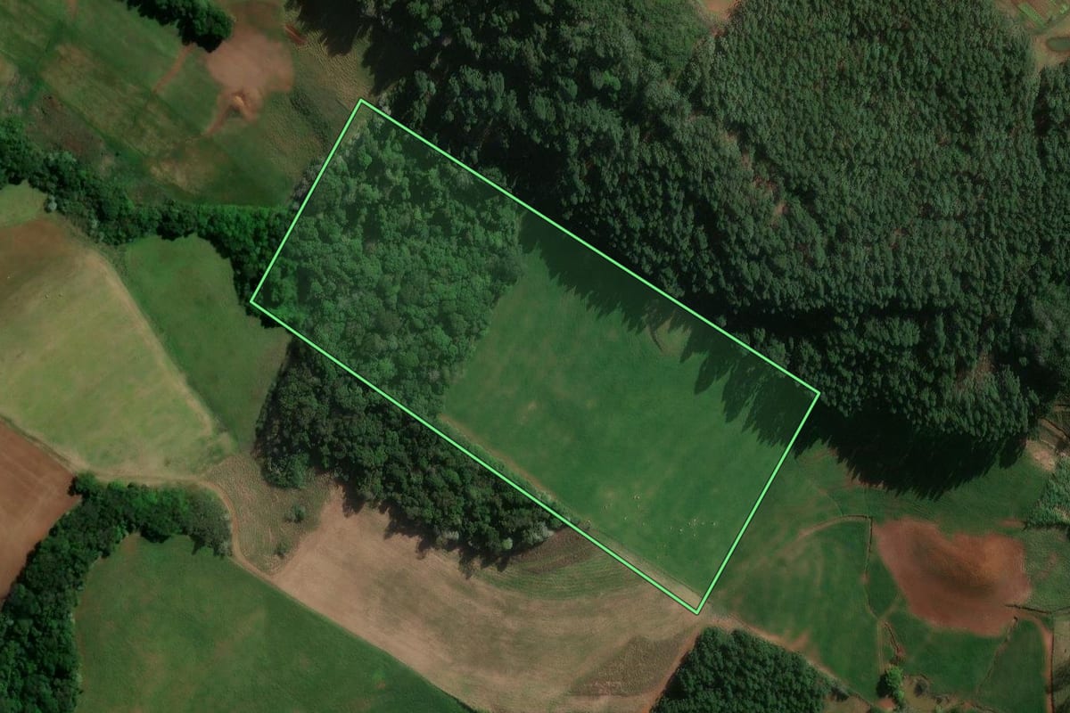 Imagem de satélite do imóvel rural em São Lourenço do Oeste (SC), com o contorno declarado no CAR desenhado por cima.