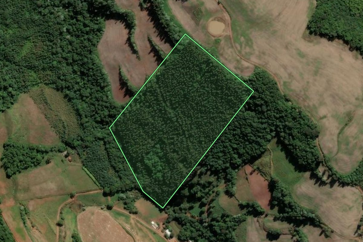 Imagem de satélite do imóvel rural em São Lourenço do Oeste (SC), com o contorno declarado no CAR desenhado por cima.