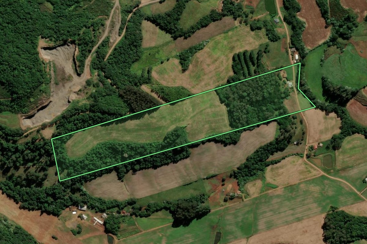 Imagem de satélite do imóvel rural em São Lourenço do Oeste (SC), com o contorno declarado no CAR desenhado por cima.