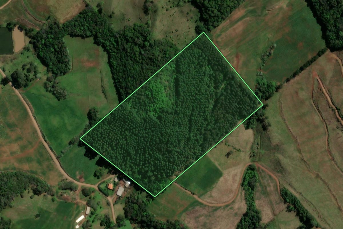 Imagem de satélite do imóvel rural em São Lourenço do Oeste (SC), com o contorno declarado no CAR desenhado por cima.