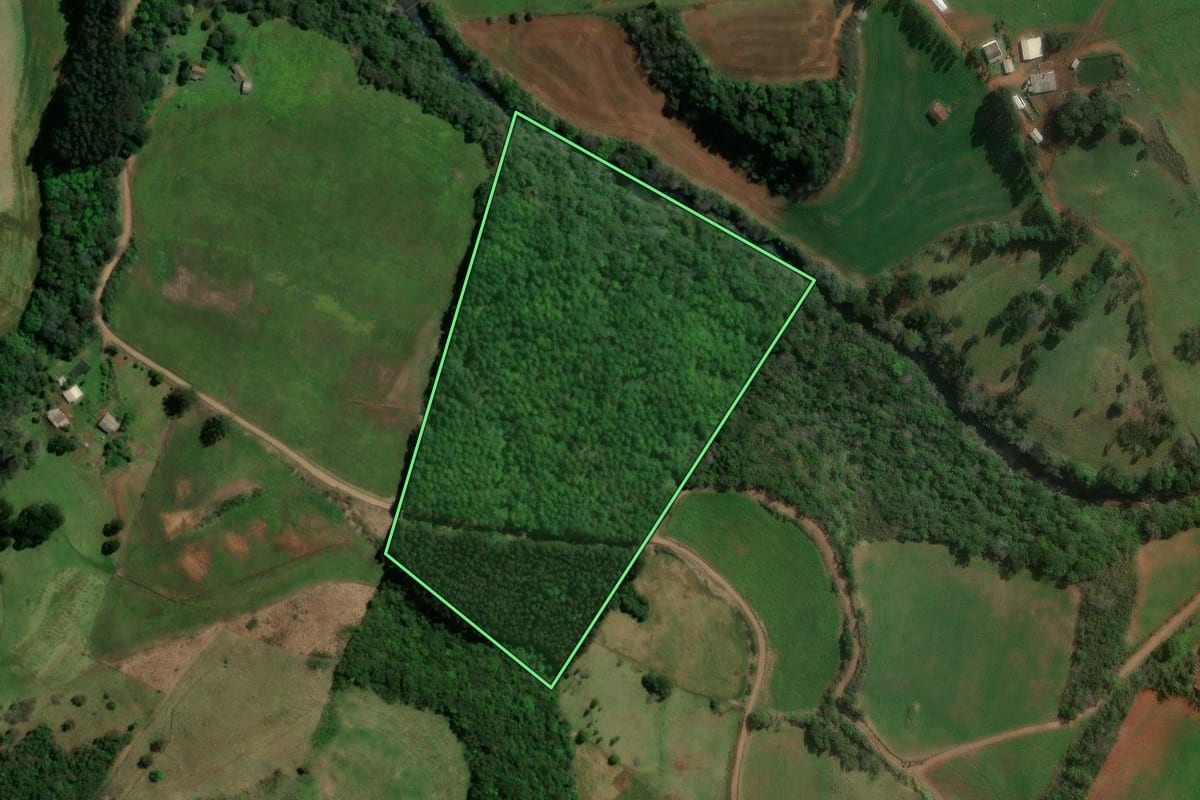 Imagem de satélite do imóvel rural em São Lourenço do Oeste (SC), com o contorno declarado no CAR desenhado por cima.
